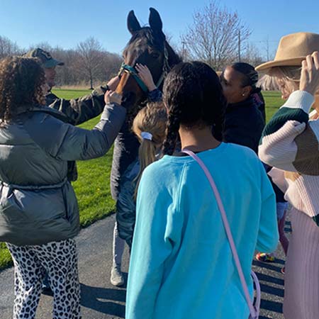 people petting a pony